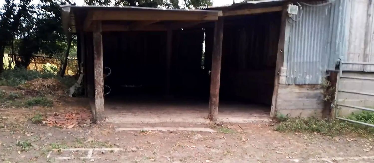 abri poneys chevaux