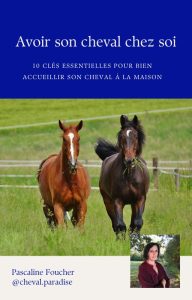 10 fiches conseils pour avoir son cheval chez soi