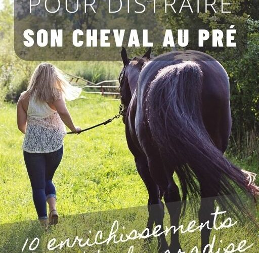 10 enrichissements pour améliorer le bien-être de ton cheval au pré