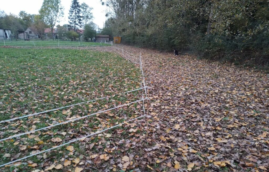 équipiste l'automne avec les feuilles le long de la piste et sous la cloture