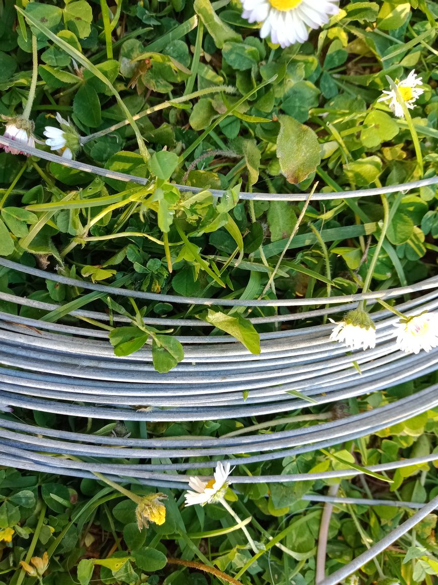 fil en galva pour cloture électrique