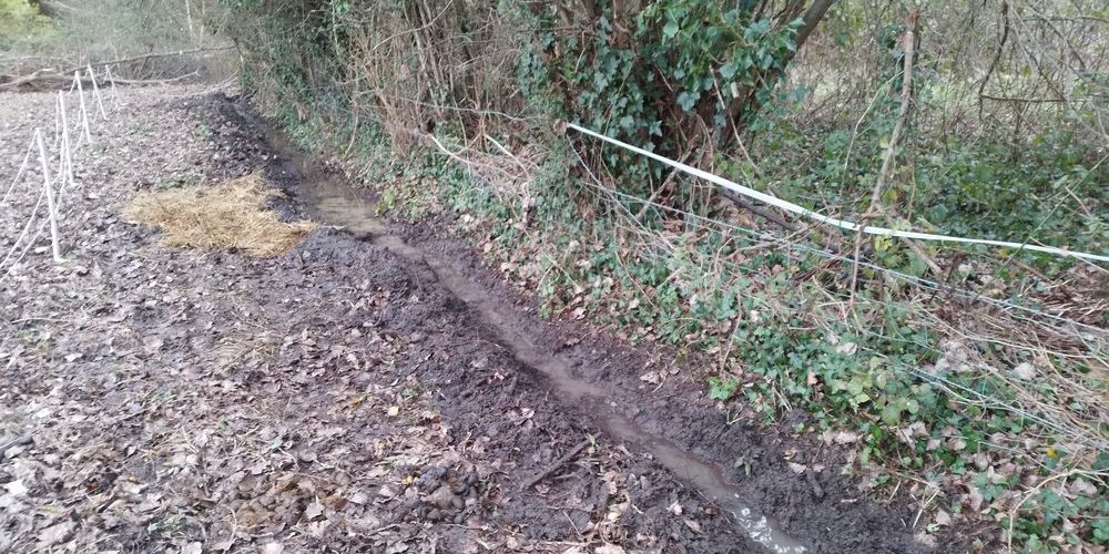 Curage de fossé en normandie pour assécher un pré