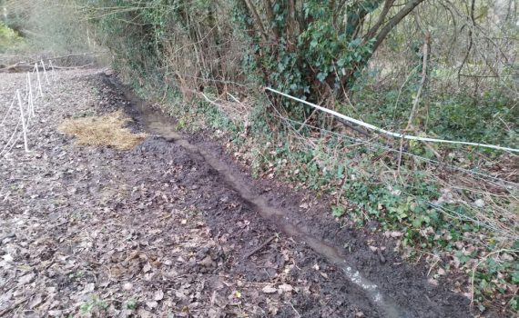 Curage de fossé en normandie pour assécher un pré