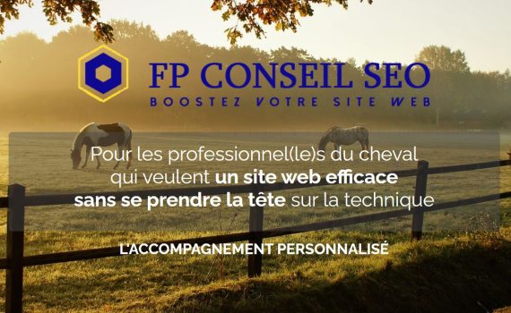 accompagnement personnalisé FP Conseil SEO