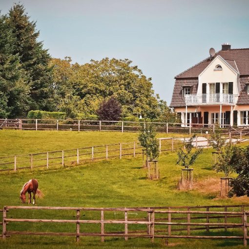 chevaux au pré clotures bois à la maison