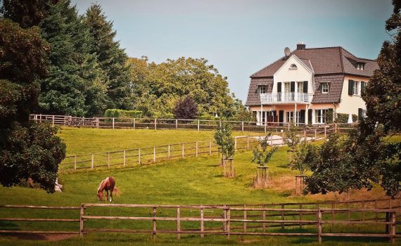 chevaux au pré clotures bois à la maison