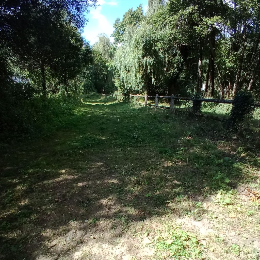 la piste presque sans herbe d'un paddock paradise pré poneys